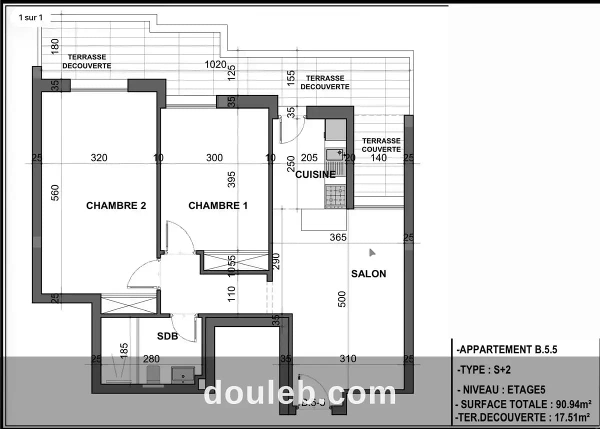 S2 sur plan avec terrase - Photo 1