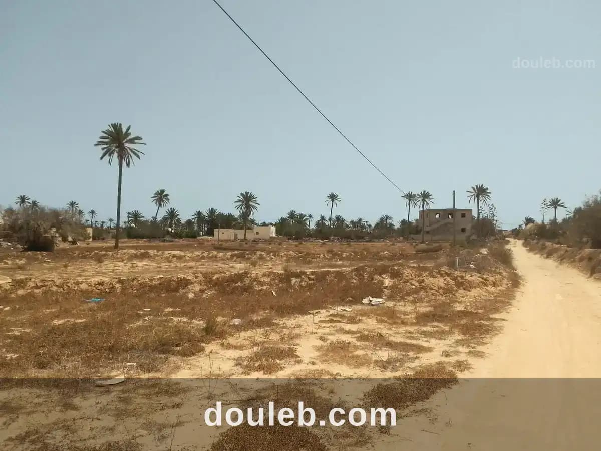 Très jolie lot de terrain nu a jerba midoun - Miniature 3