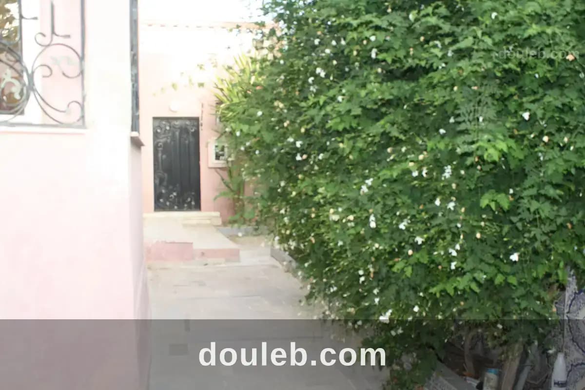 Gps villa en duplexe jardin divers plus appart s2 - Photo 1