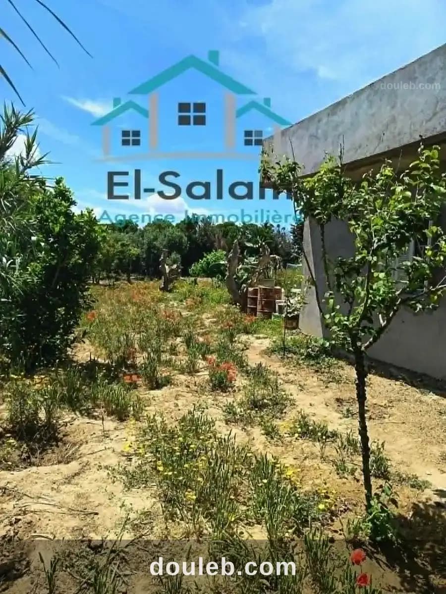 Maison a kelibia opportunité a ne pas raté - Photo 1