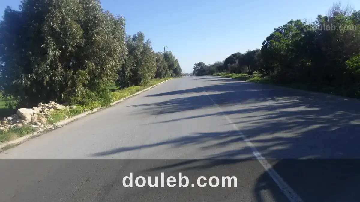 Terrain sur la route principale à hammem el ghzez - Photo 1