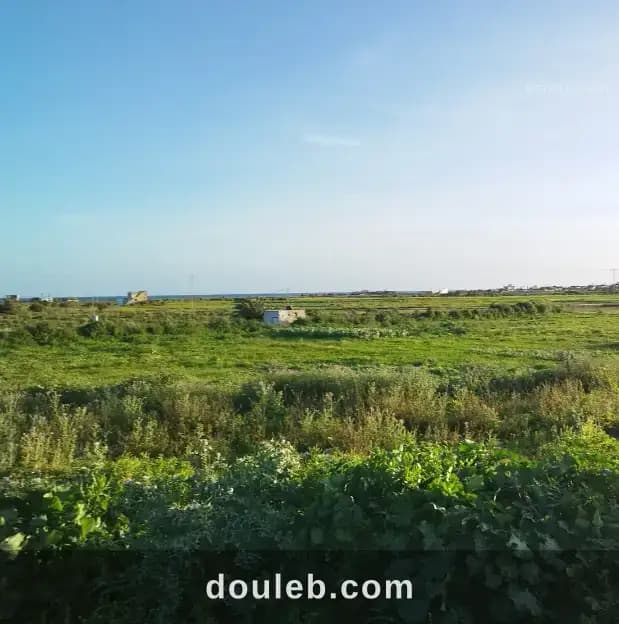 Terrainavec vue sur mer à kelibia - Photo 1