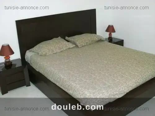 Appartement super lux à prix doux - Photo 1