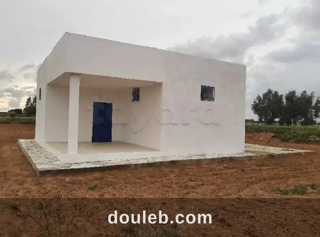 Boura elain km 23 - Photo 1