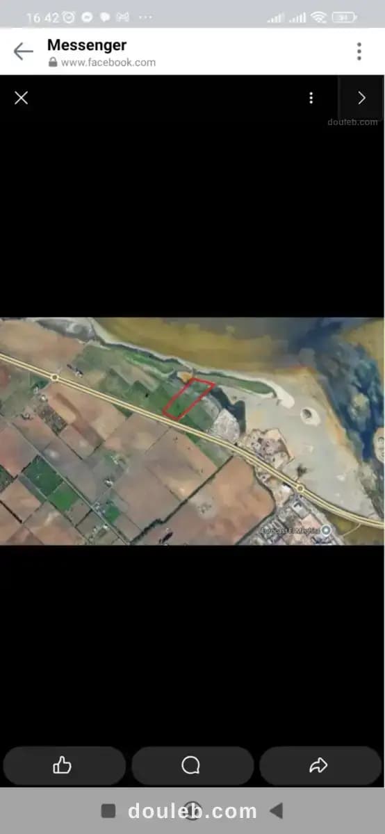 Terrain d'investissement - Photo 1
