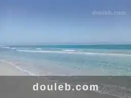 5 hectare pour les investisseurs - Photo 1