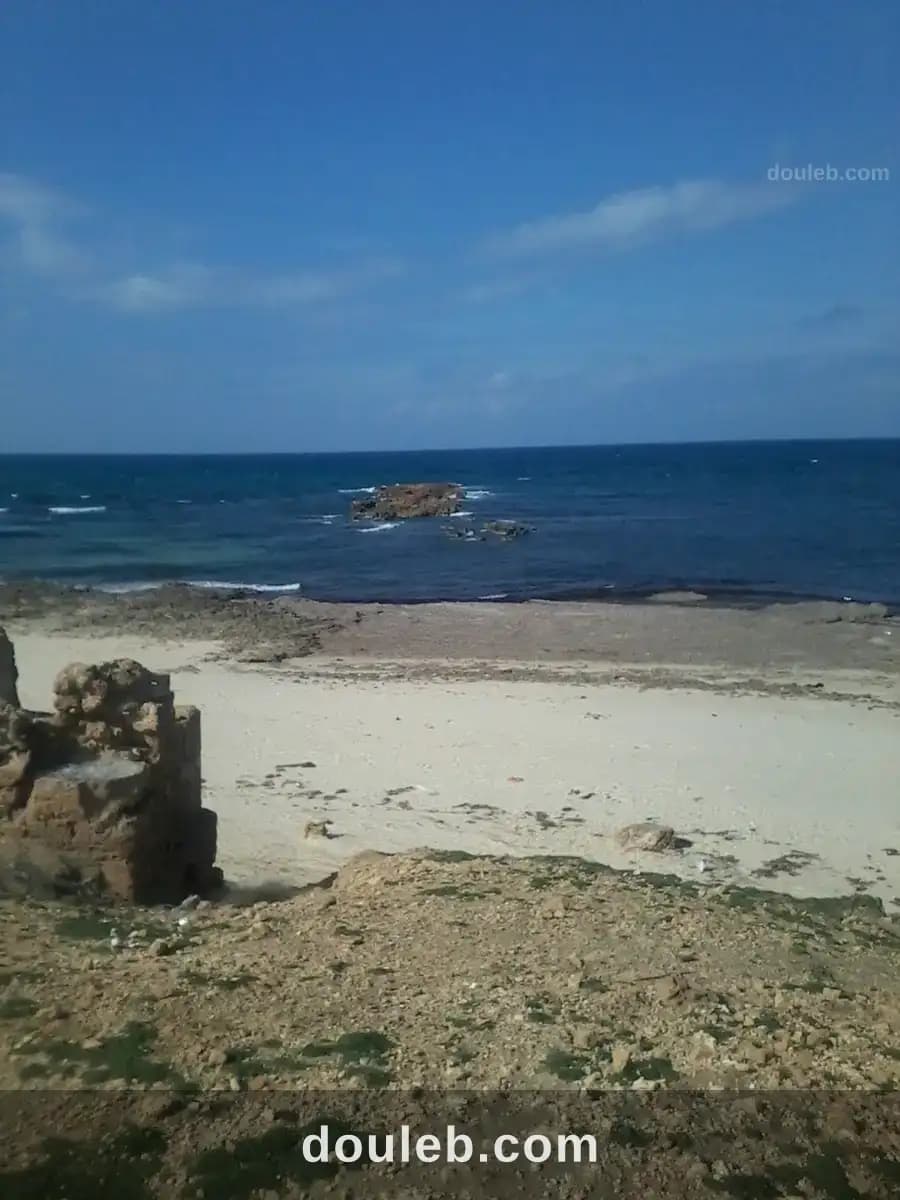Terrain en face de la plage - Photo 1