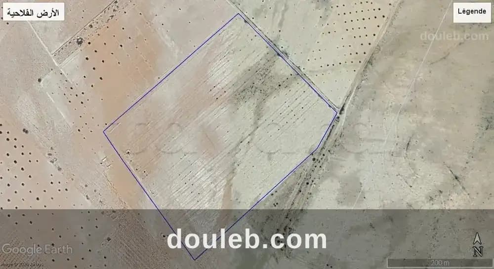 Terrain agricole regueb à Sidi Bouzid