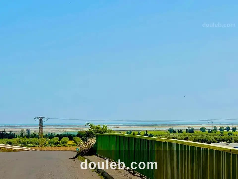Lots bouficha - Miniature 3