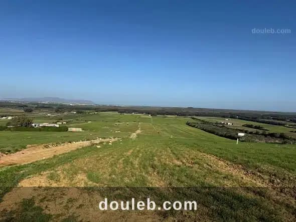 Des lots azmour - Miniature 2