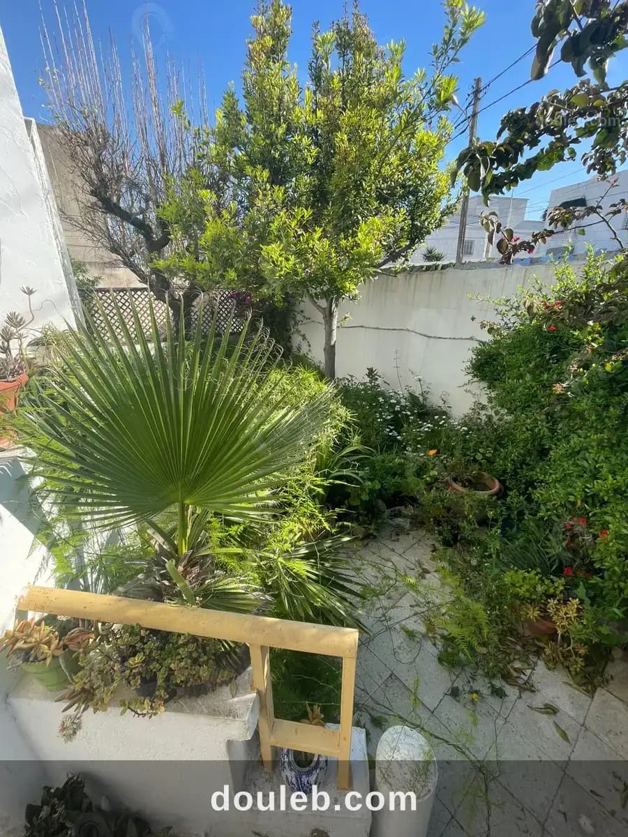 Une villa 2s1 indépendante au bardo centre - Miniature 5