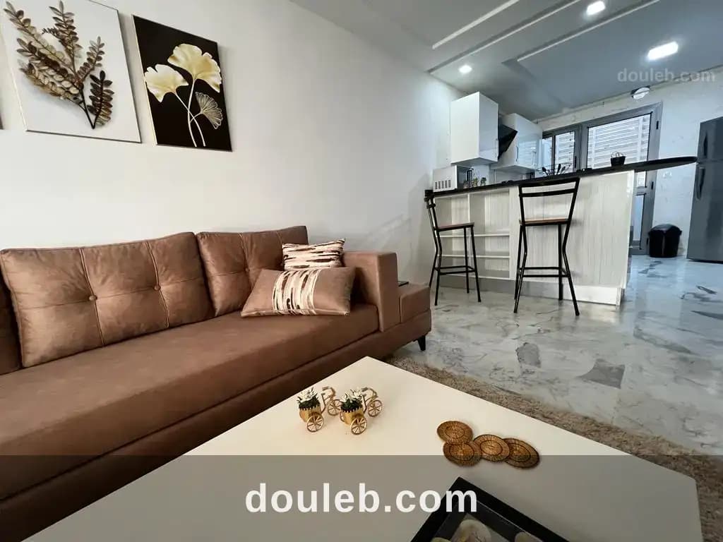 S1 meublé lux - Miniature 2