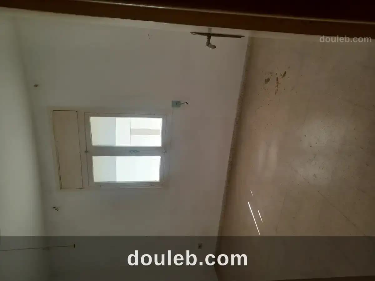 Offre daloula - Miniature 3