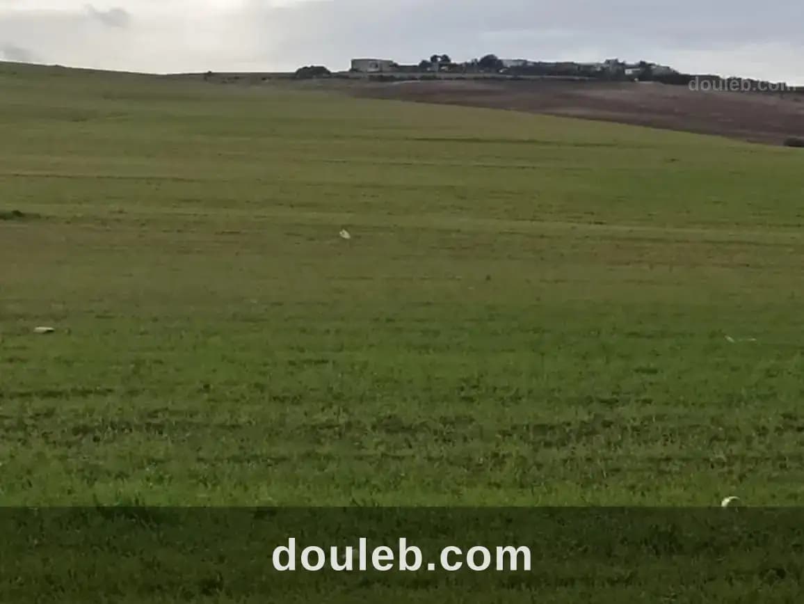 30 hectares propices a tous les arbres fruitiers - Miniature 3