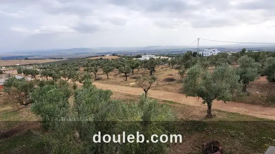 Luxueuse villa de compagne - Miniature 2
