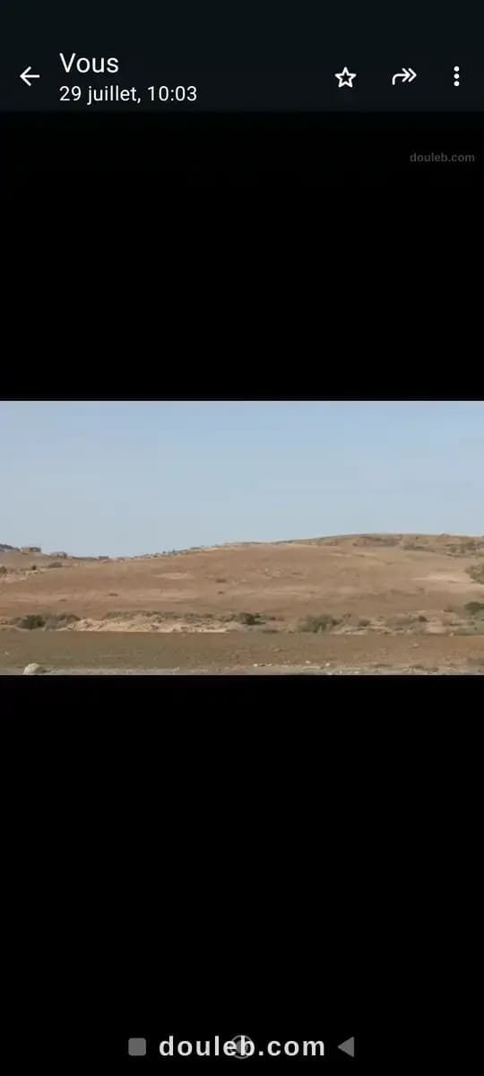 2 ou 4 hectares plus a mohamadia - Miniature 3