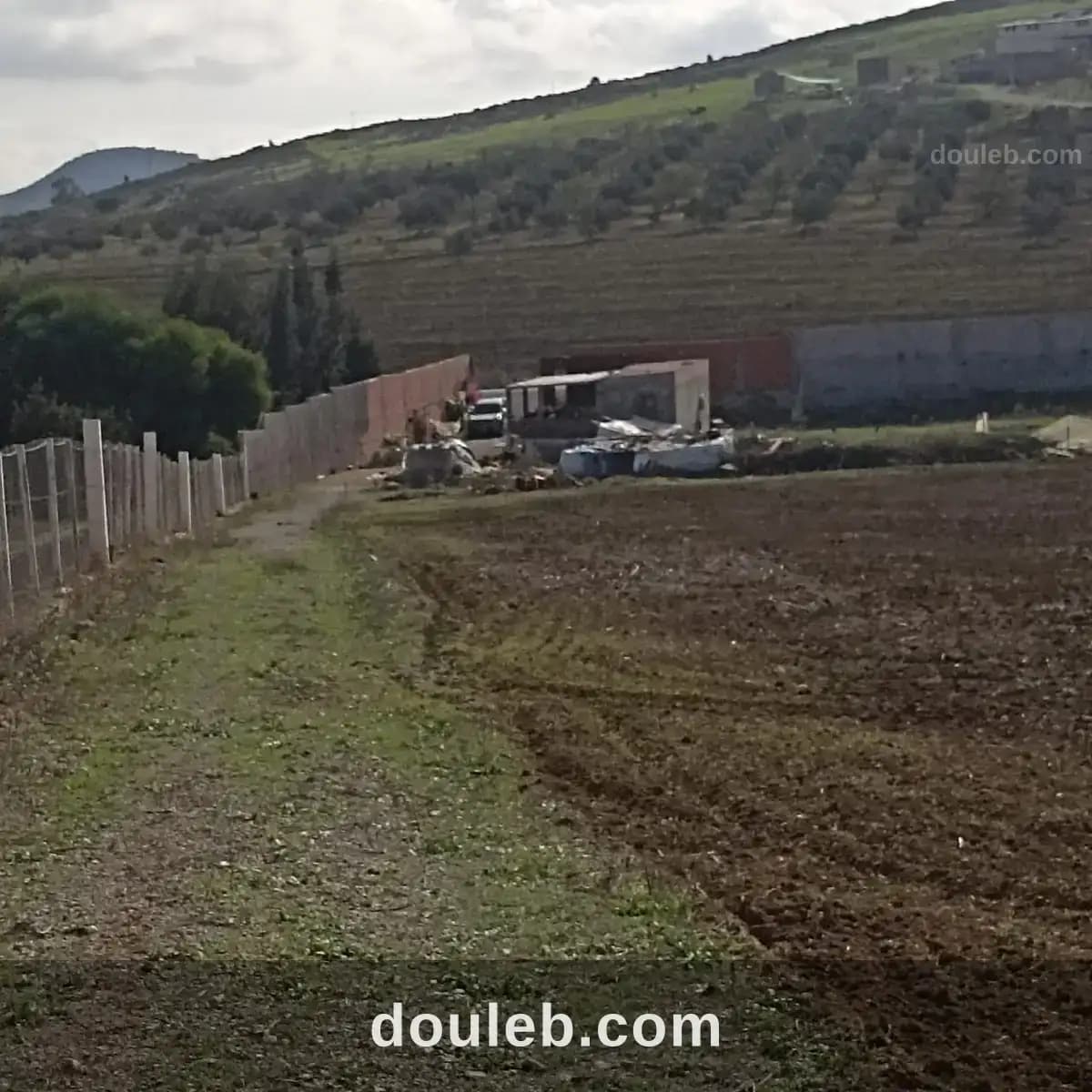 Ferme 7 hectares 32km de tunis - Miniature 2