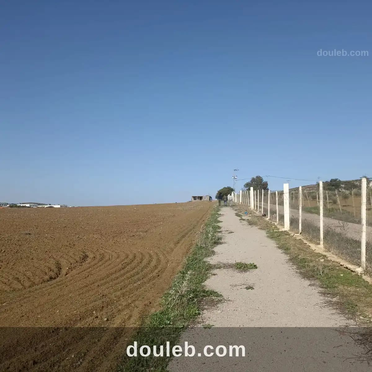 Ferme 7 hectares 32km de tunis - Miniature 3