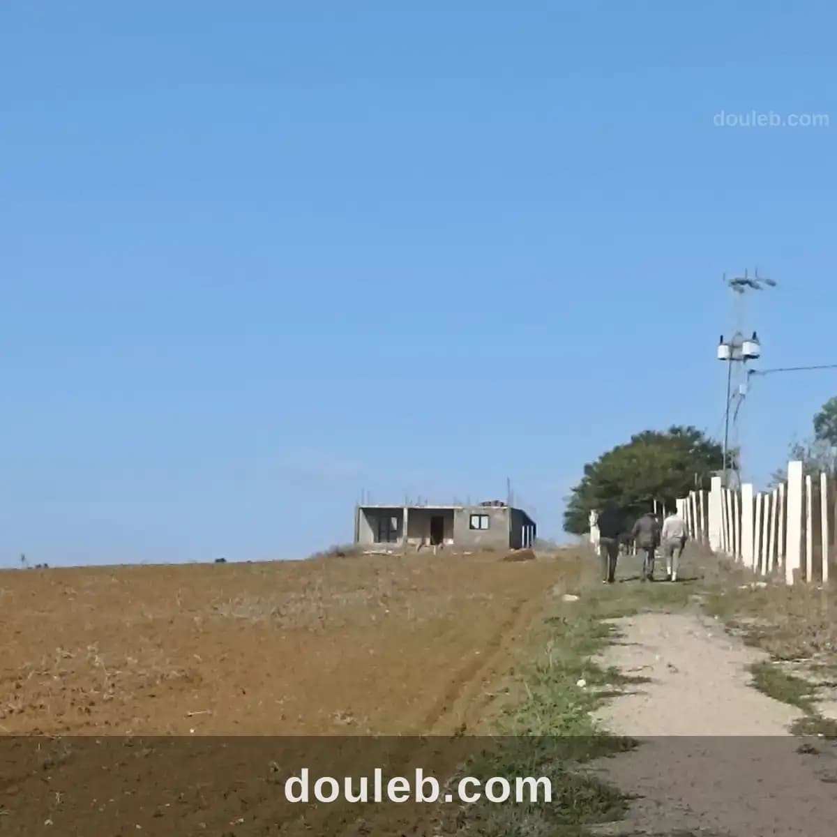 Ferme 7 hectares 32km de tunis - Miniature 4