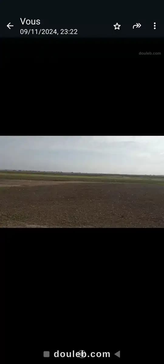 15 hectares nu a al fajjah - Miniature 5