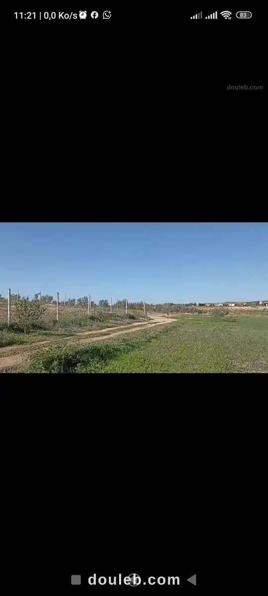 Terrain agricole pour une résidence rurale - Miniature 5