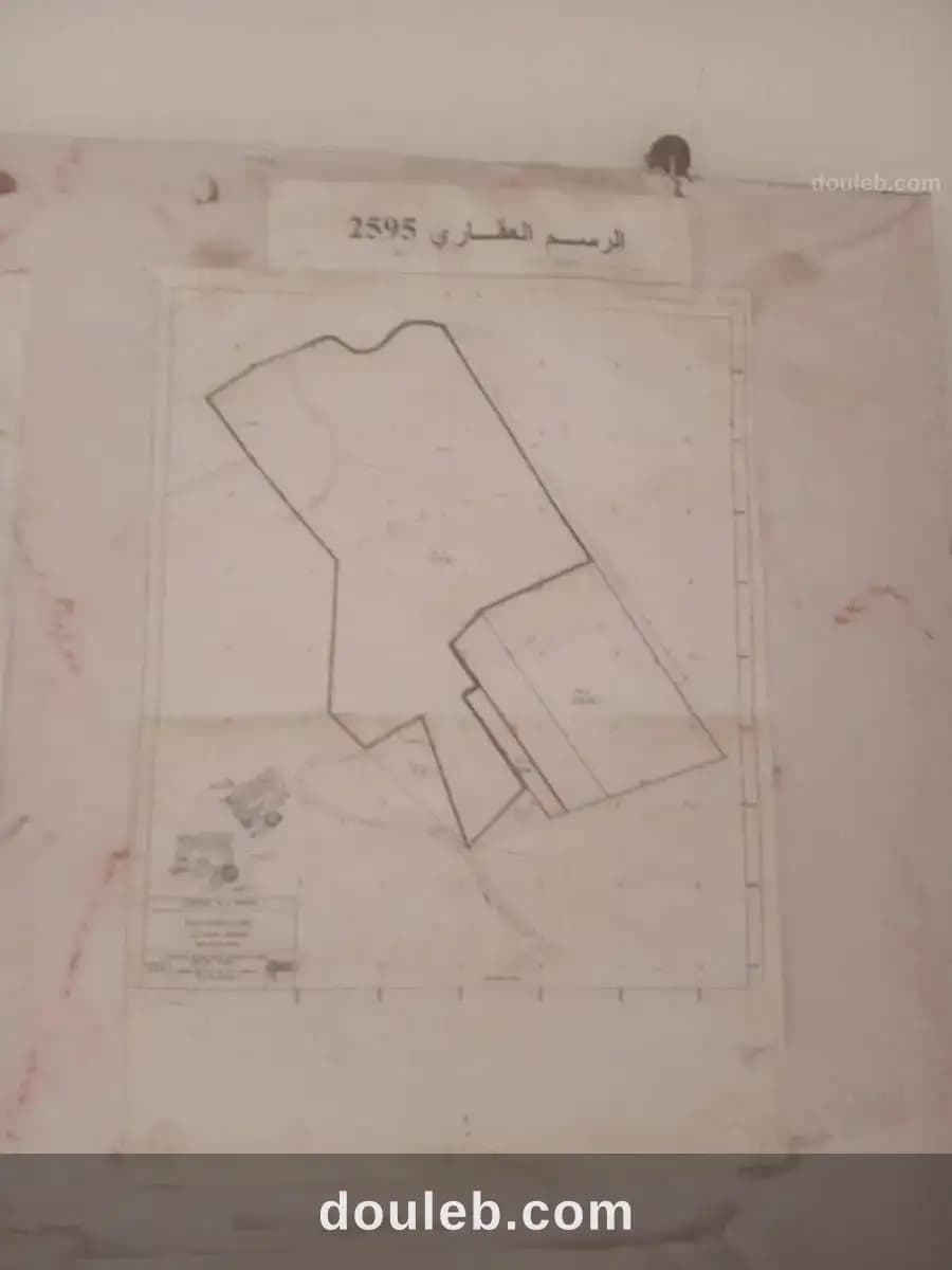 Terrain ennasr 1 borj turki - Photo 1