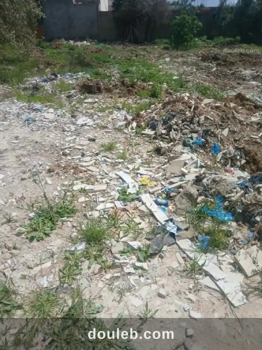 Terrain pour affaire en or - Photo 1