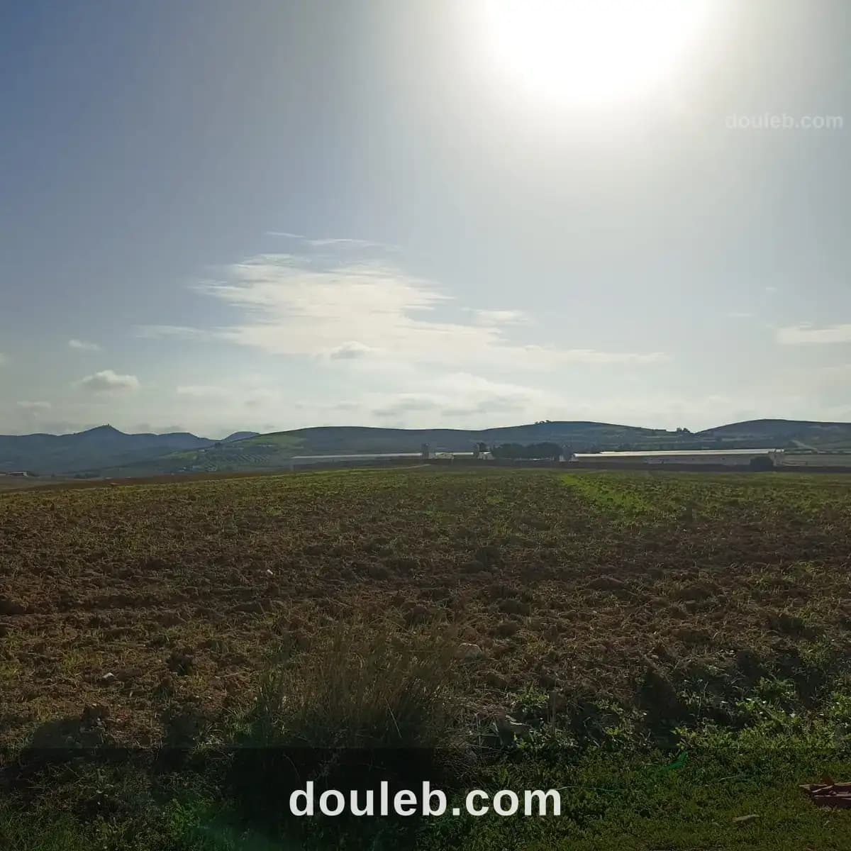 2 hectares 3000m2 à 32km de tunis - Miniature 2