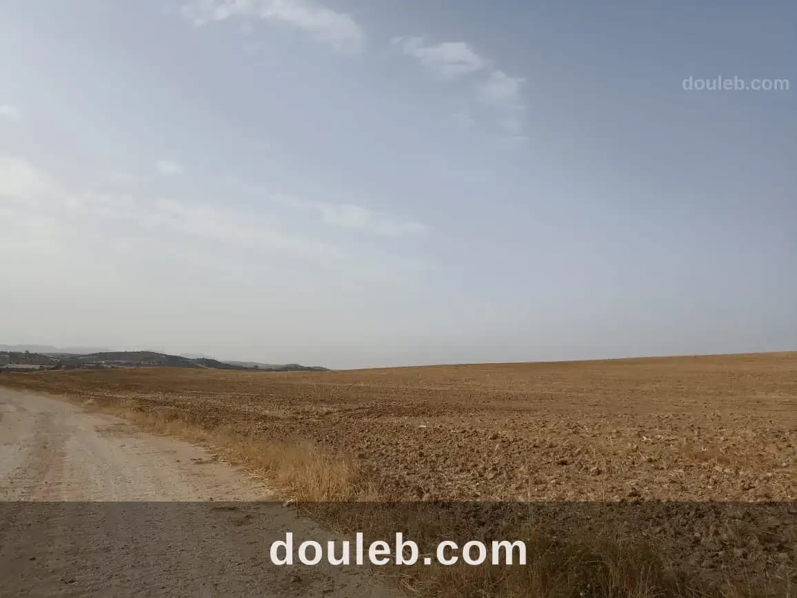 67 hectare sur la route nationale gp3 - Miniature 2