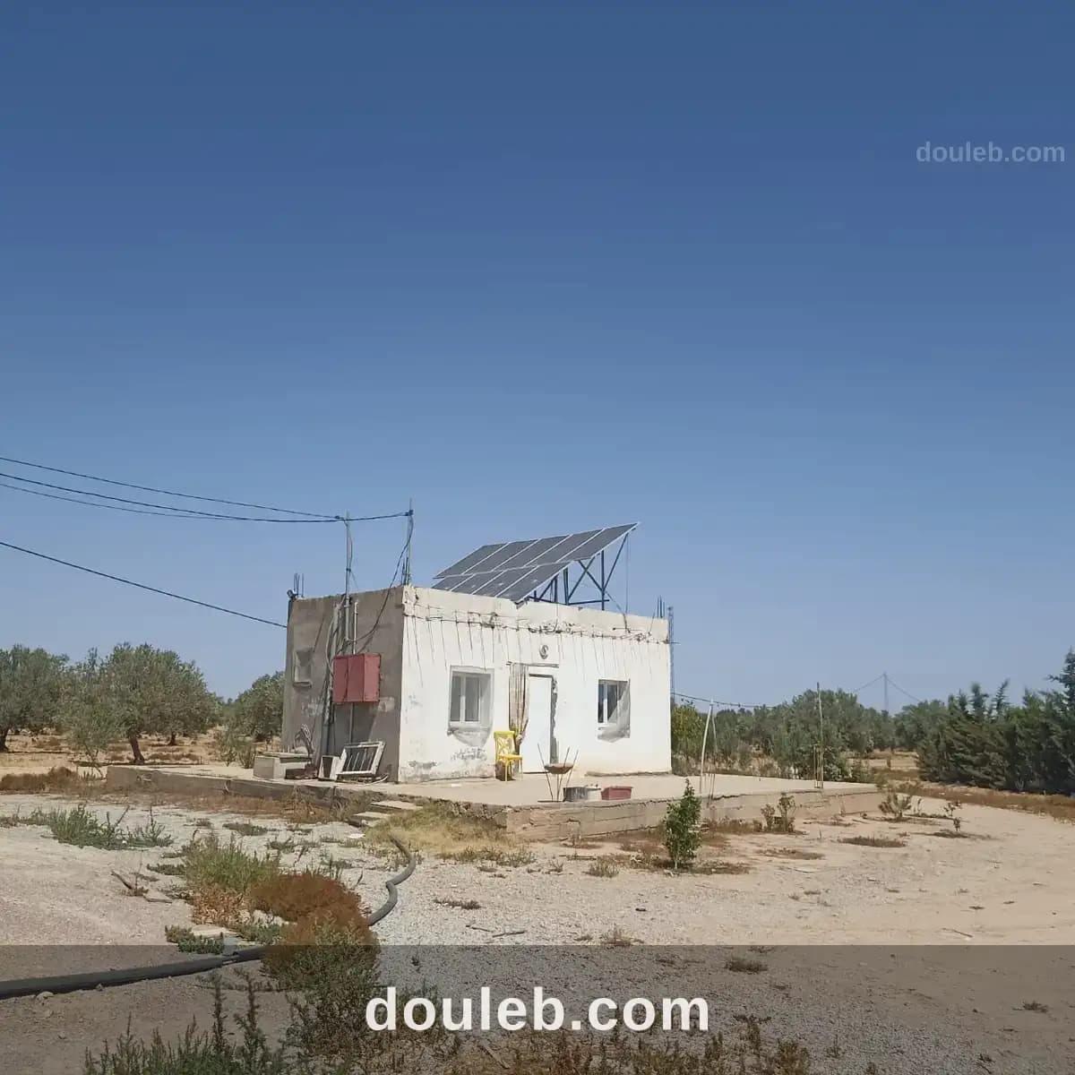 Ferme 65 km de tunis - Miniature 2