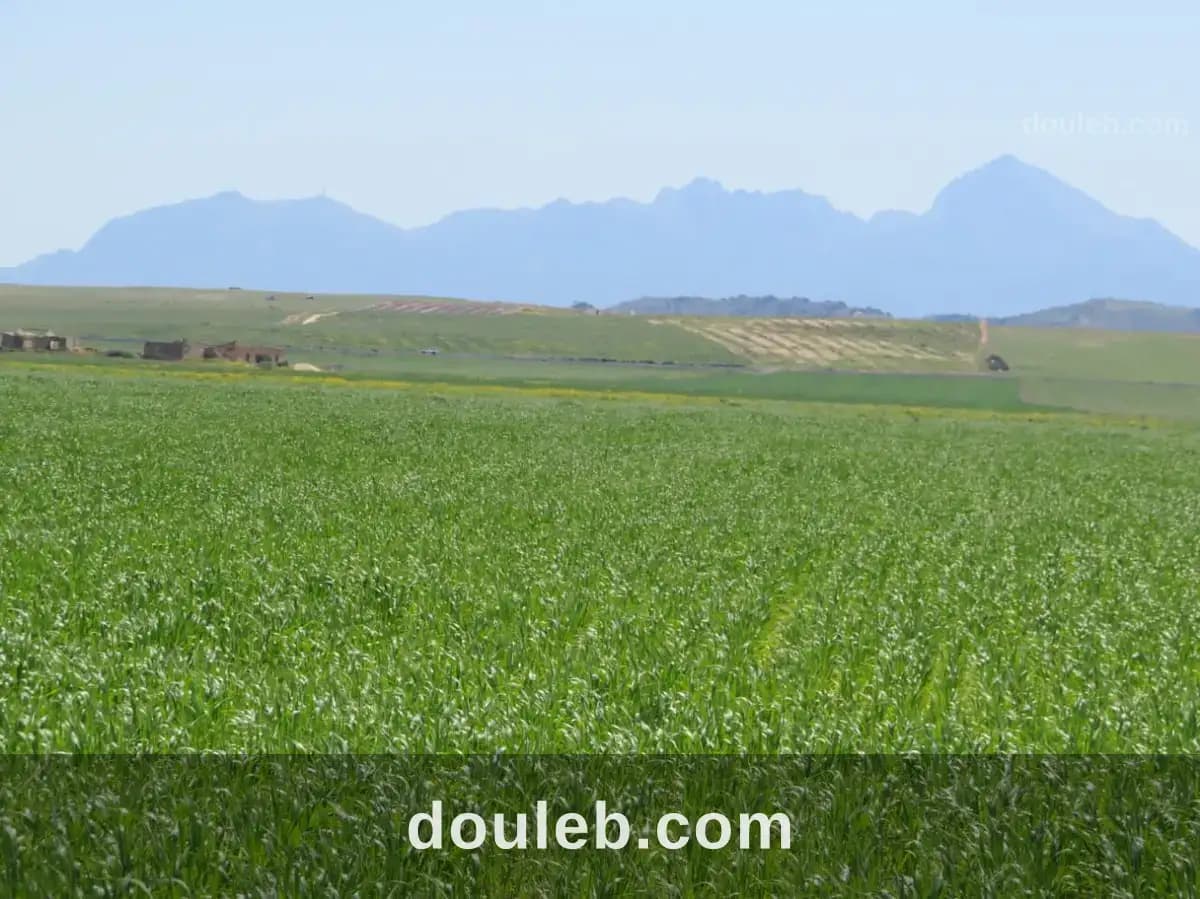 Excellente 22 hectares plat - Miniature 4