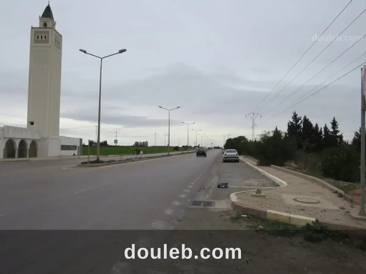 Magnifique 6936 m2 zaghouan - Miniature 4