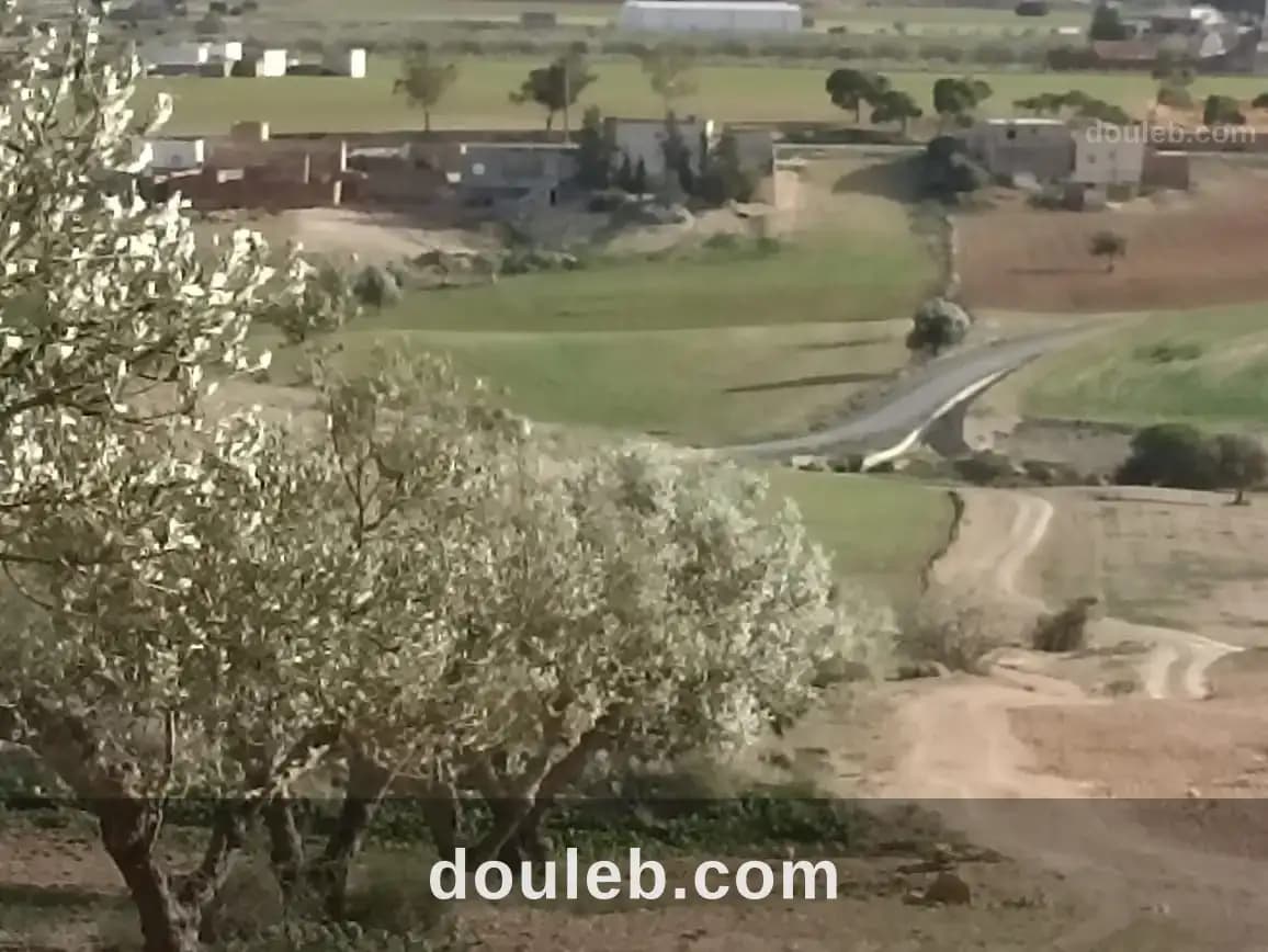 22 hectares 4 hectares d'oliviers 18 hectares nu - Miniature 5