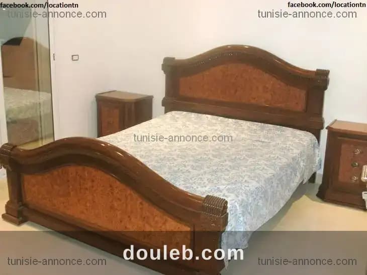 Super luxueux s2 tout neuf - Photo 1