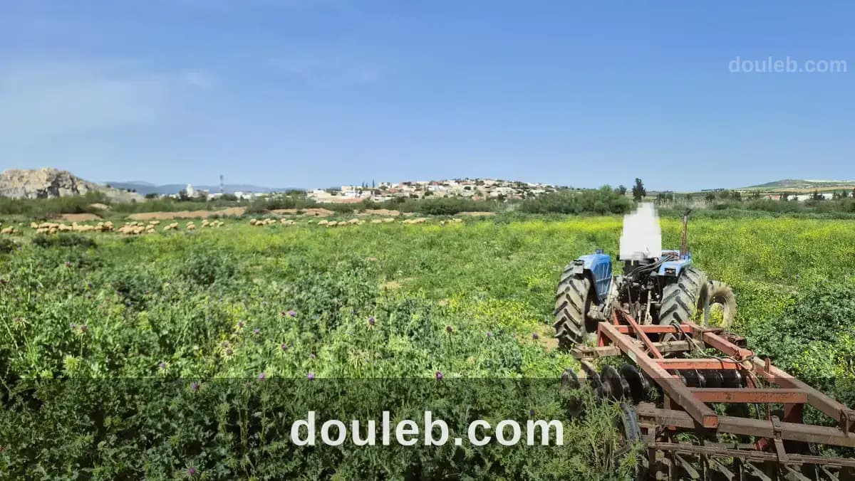 Terrain agricole à medjez el bab - Photo 1