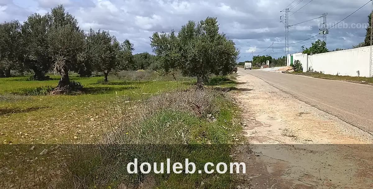 Super terrain - Photo 1