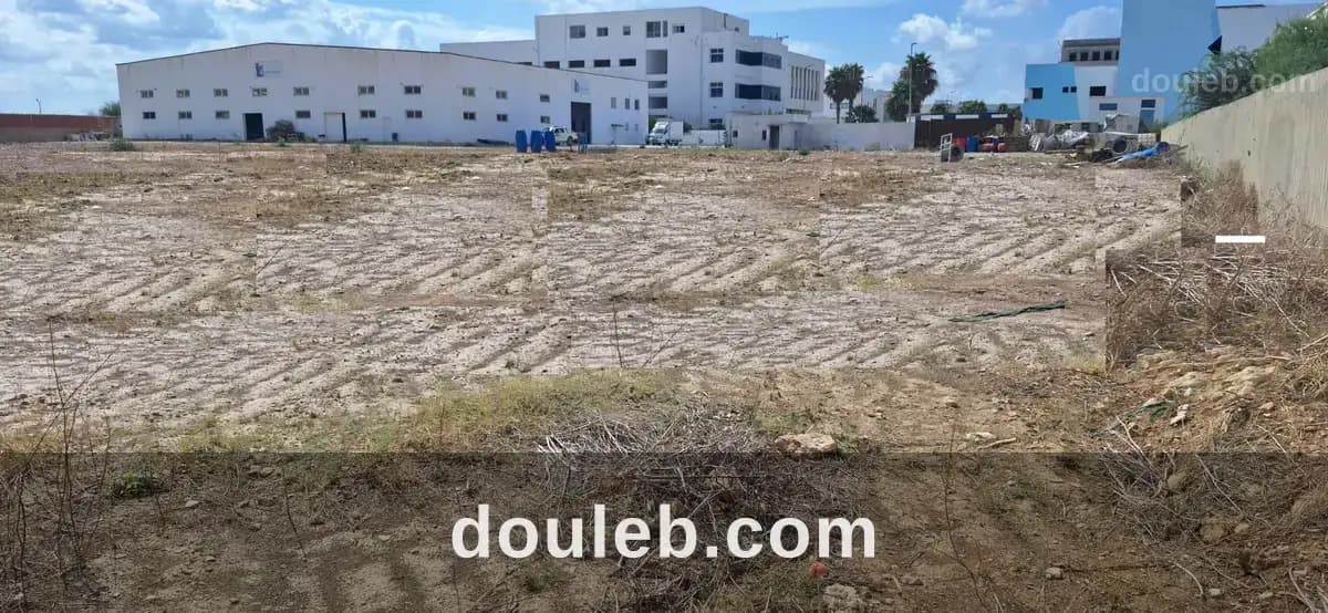 Terrain de 8000 m2 à z ind de chotrana - Photo 1