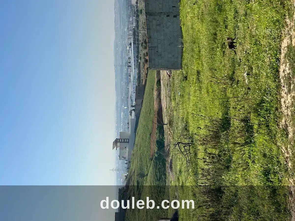 Lots de terrain oued ellil - Photo 1