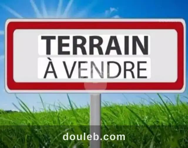 Un terrain de 10 héctares agricole à djebal ouest - Photo 1