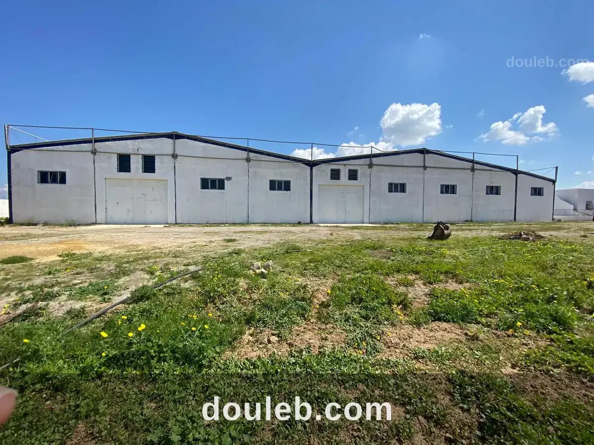 Entrepôt neuf de 2 000 m2 à soliman - Photo 1