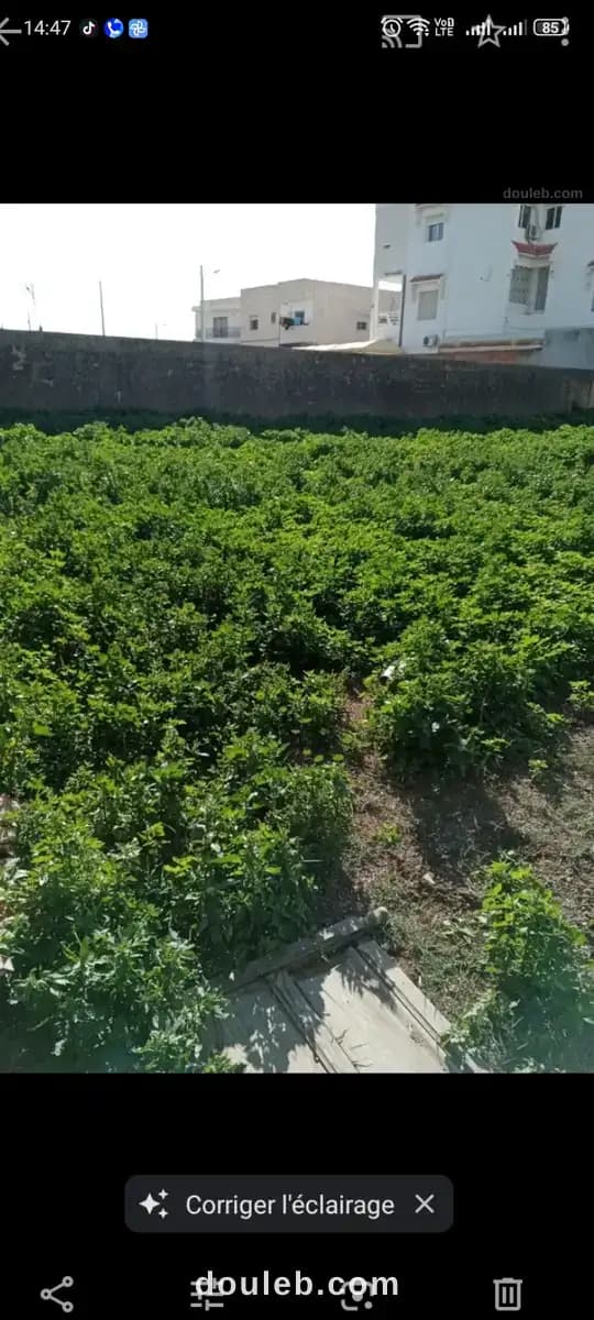 Terrain nu - Photo 1