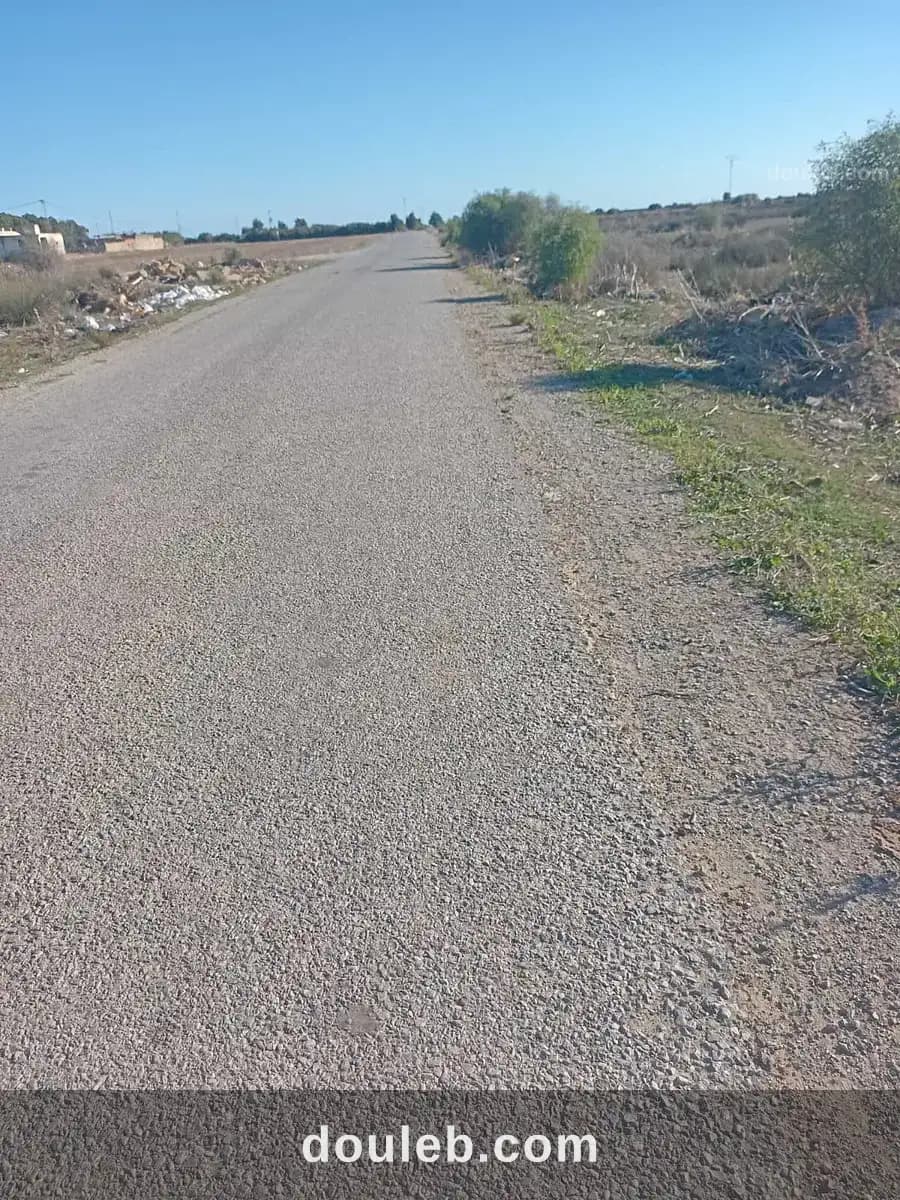 Hectar et 5000m2 directement sur la route - Photo 1