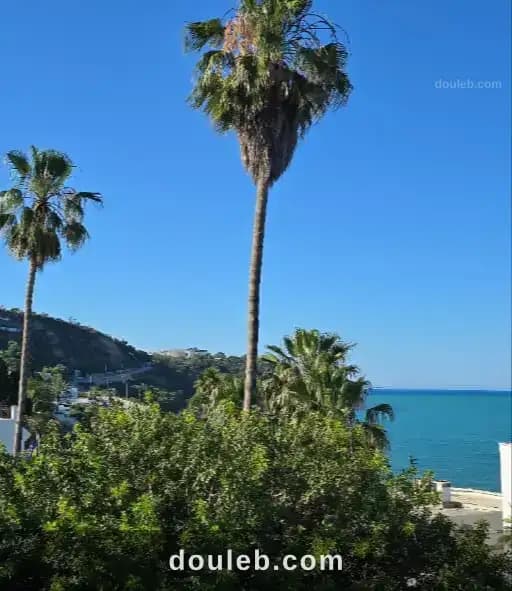 Terrain vue mer gammarth - Photo 1