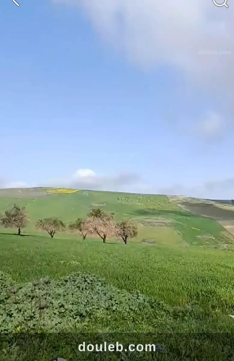 Terrain agricole - Photo 1