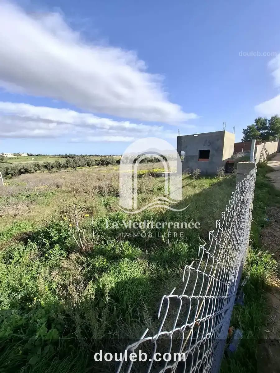 Terrain agricole mornag - Photo 1