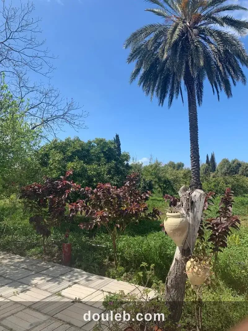 V613 maison farida menzel bouzalfa - Photo 1