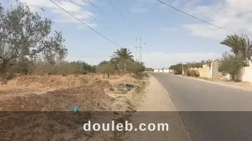 Terrain 2 658 m2 sur route el may djerba 4175 - Miniature 2