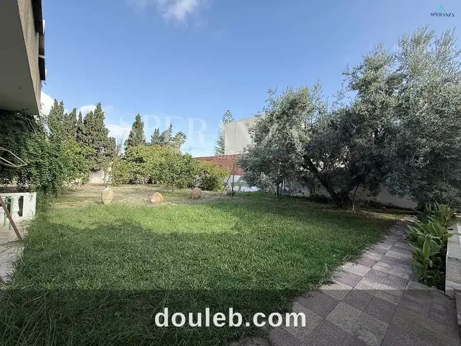 Villa al jawhara - Miniature 5