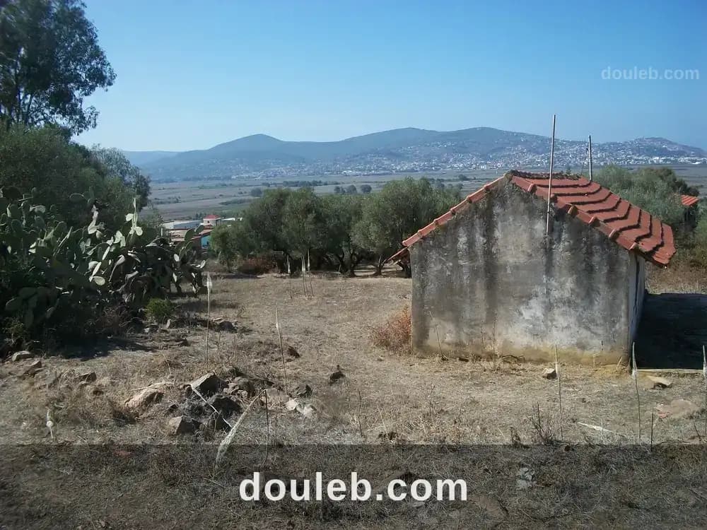Terrain à tabarka - Photo 1
