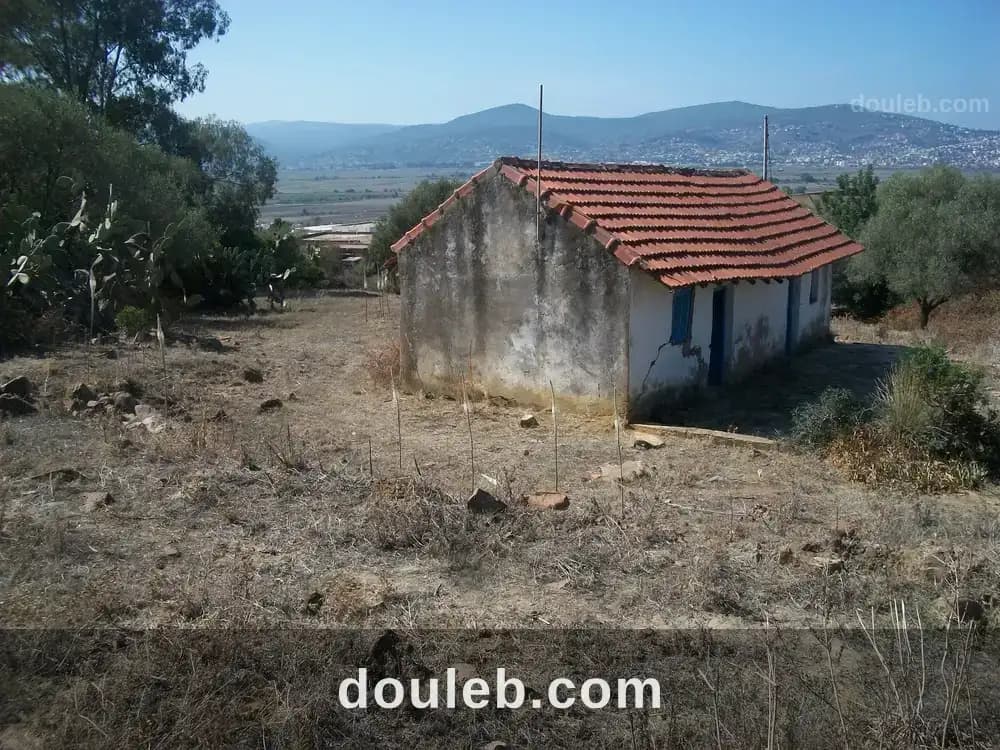 Terrain à tabarka - Miniature 2
